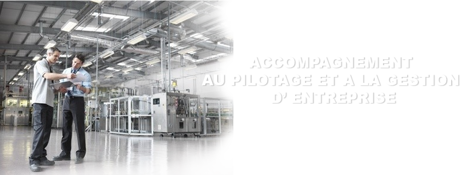 Aide au pilotage d\'entreprise